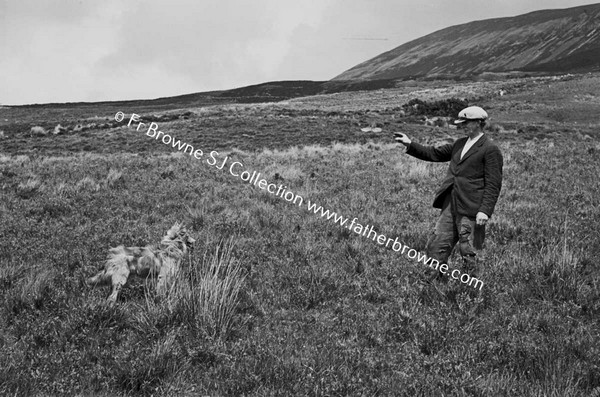 ON WAY TO NEWPORT RURAL SCENES MAN WITH DOG POSSIBLY SHEEPDOG